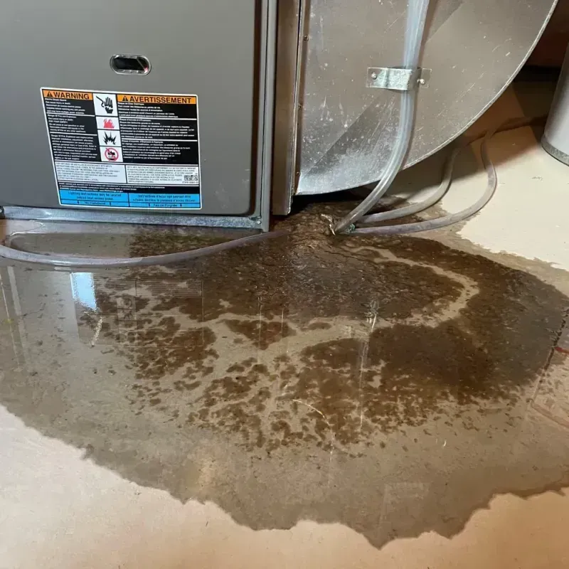 Appliance Leak Cleanup in Stanley, WI